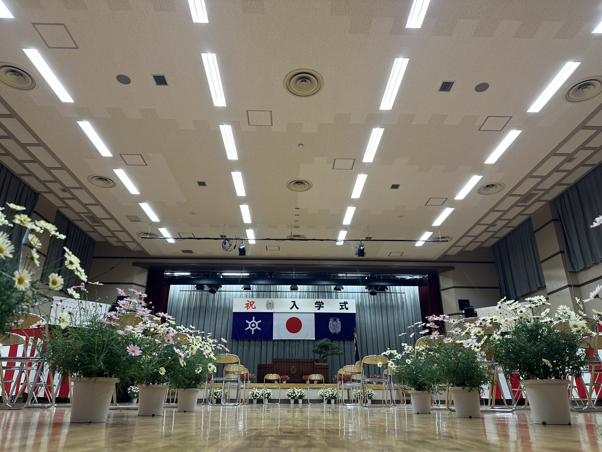 画像 -20240409-043125-726a6811